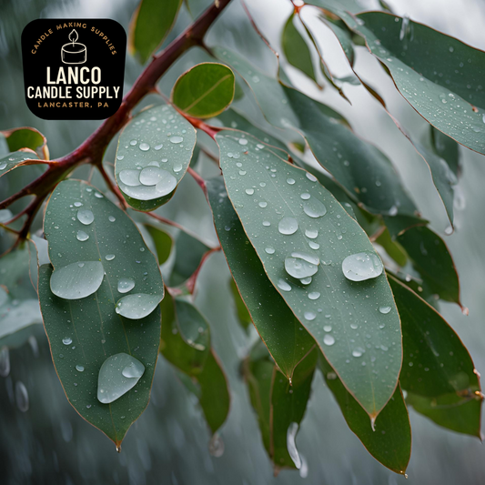 Eucalyptus Rain