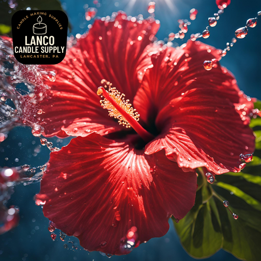 Hibiscus Splash