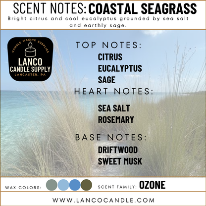Coastal Seagrass