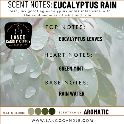 Eucalyptus Rain
