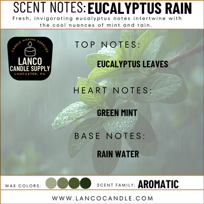 Eucalyptus Rain