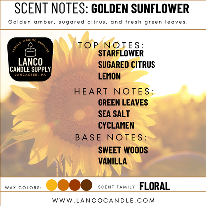Golden Sunflower