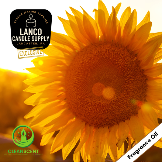 Golden Sunflower