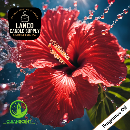 Hibiscus Splash