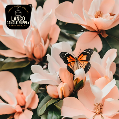 Butterfly Garden