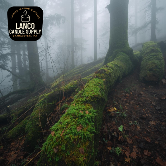 Woodland Moss & Mist