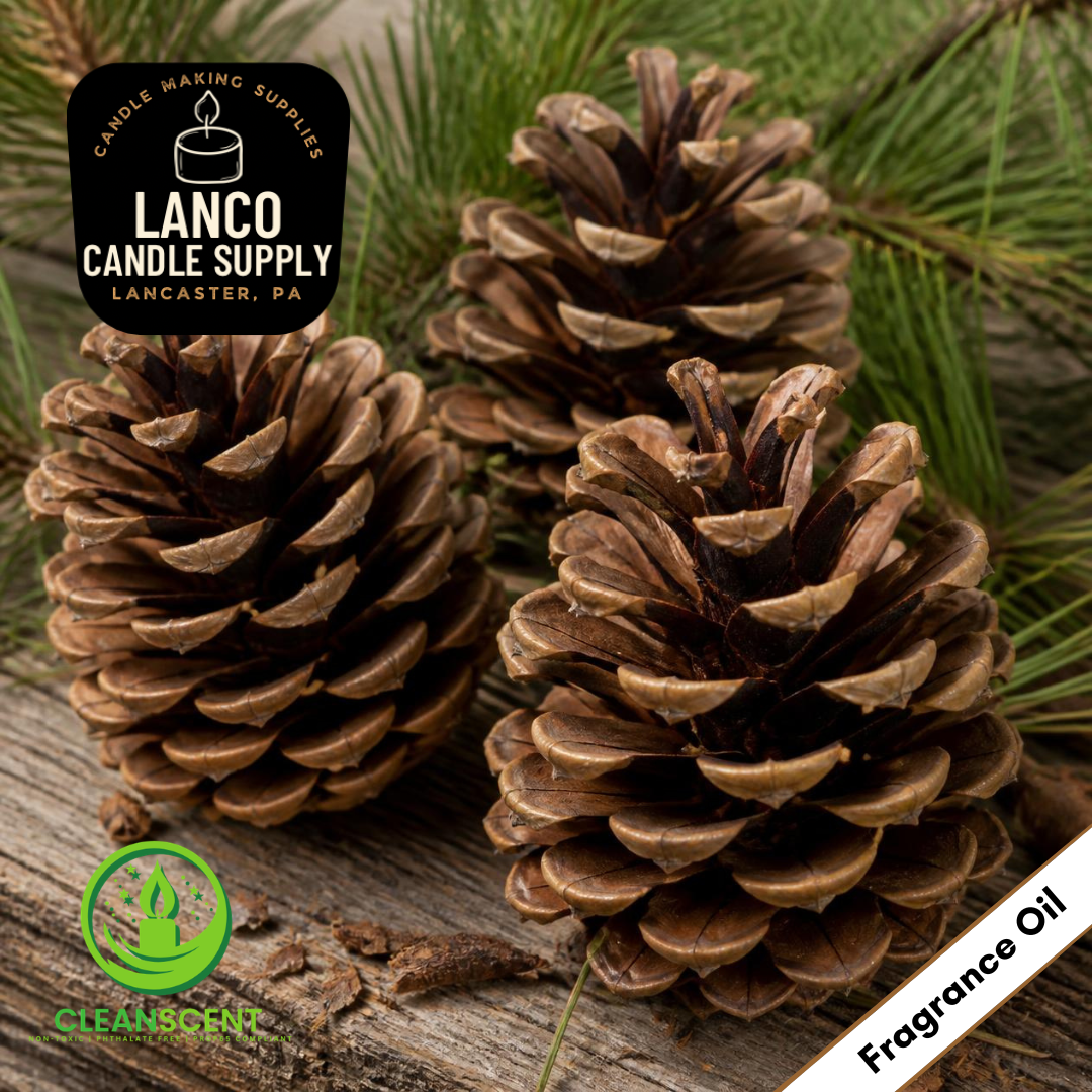 Roasted Pine Cone