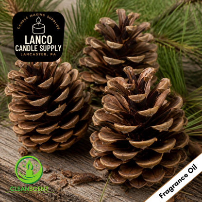 Roasted Pine Cone