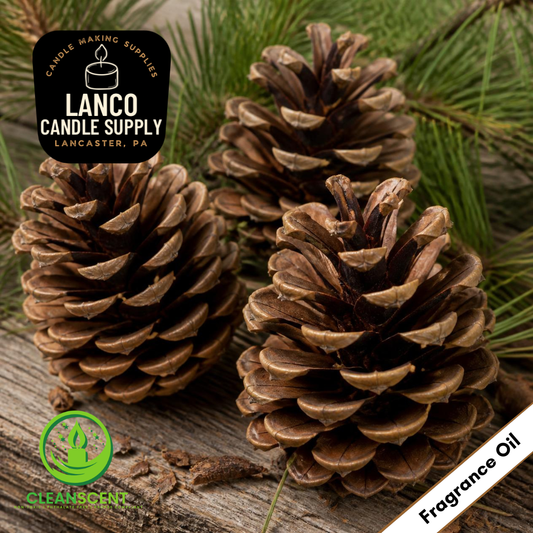 Roasted Pine Cone