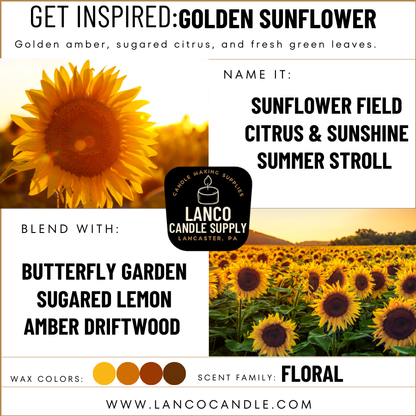 Golden Sunflower